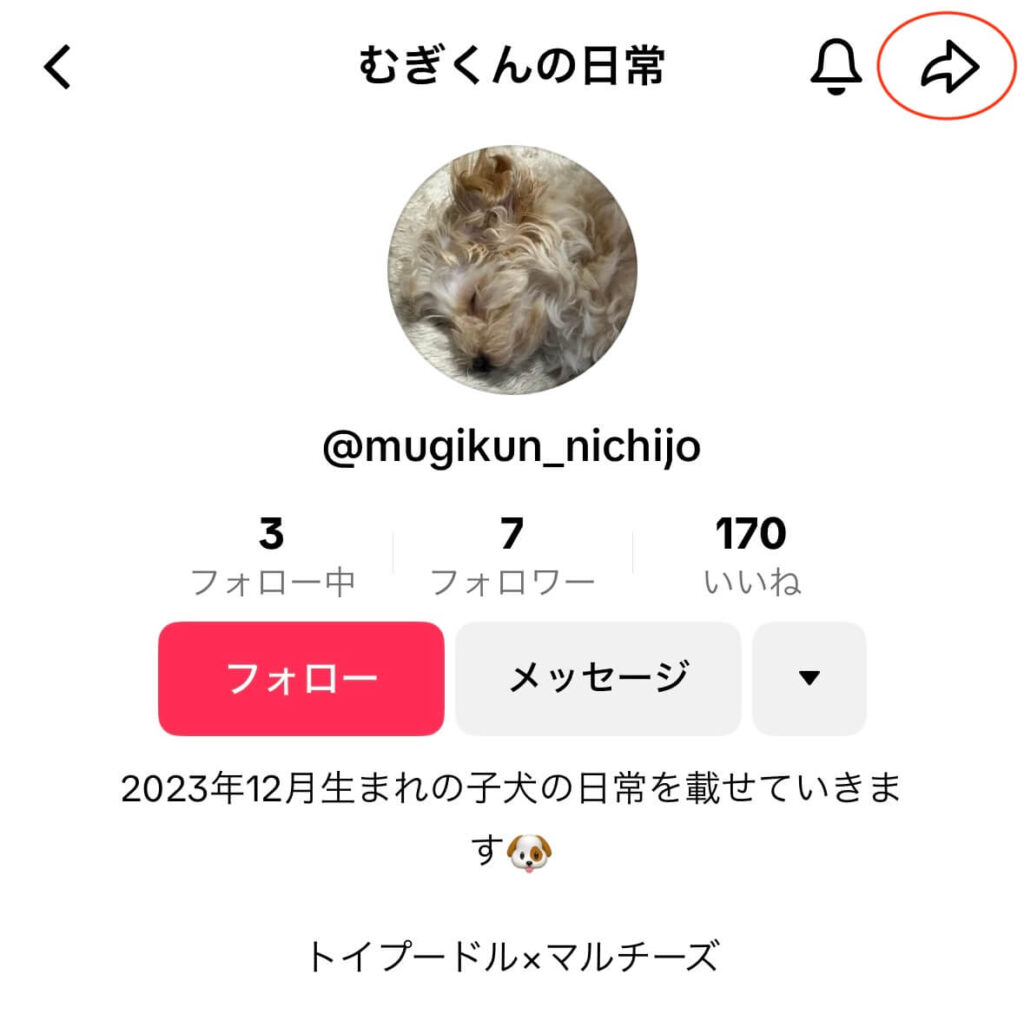 TikTokでブロックされたらどうなるのか？確認方法も紹介 | SNS-BUZZ